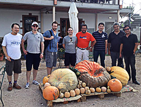 UK Japanese food Impoter and luxurily restaurant chef visit rice field.